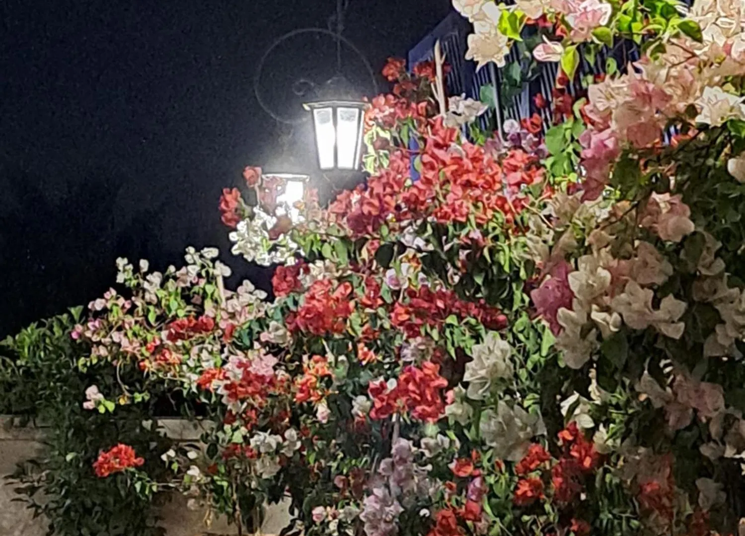 *** Bed & Breakfast Dar Al Kounouz Bed and Breakfast Marrakesh Marokko