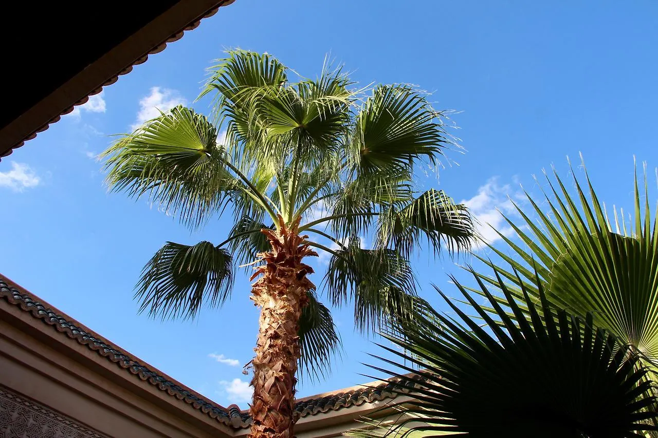 Dar Al Kounouz Bed & Breakfast Marrakesh 3*,  Morocco